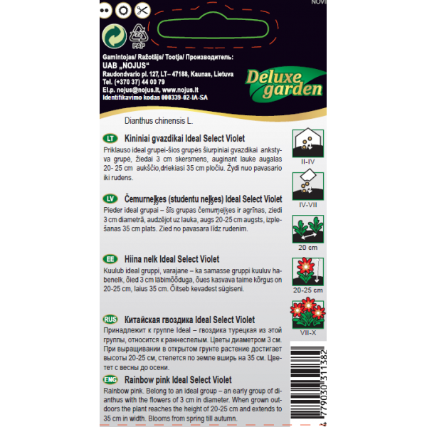 Kiinalaiset neilikat IDEAL SELECT VIOLET