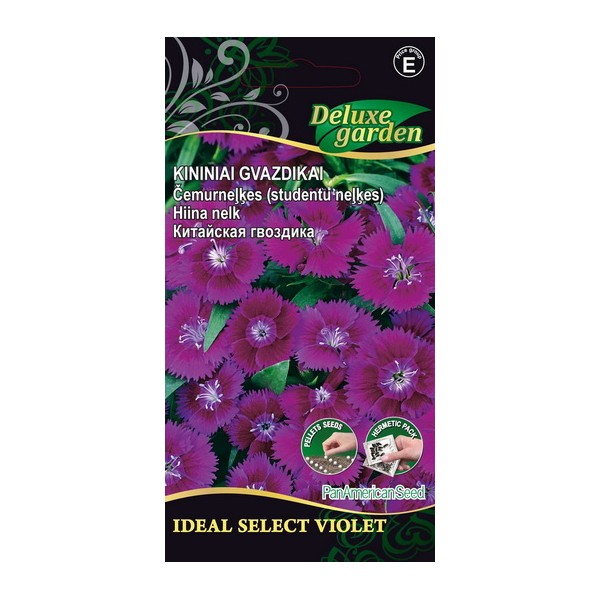 Dianthus Chinensis IDEAL SELECT VIOLET