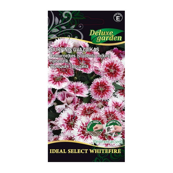 Sweet William IDEAL SELECT WHITEFIRE