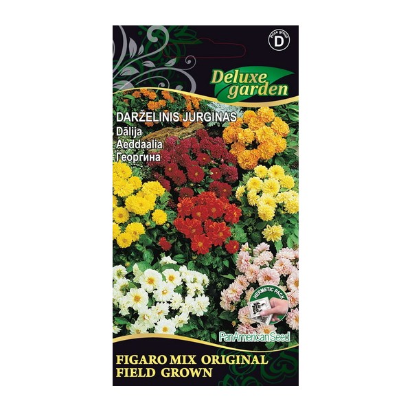 Dahlia pinnata FIGARO MIX FIELD GROWN
