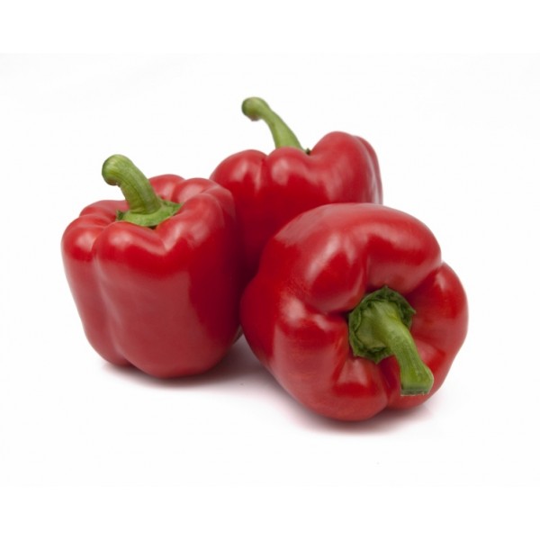 Sweet Pepper Yecla H 8s