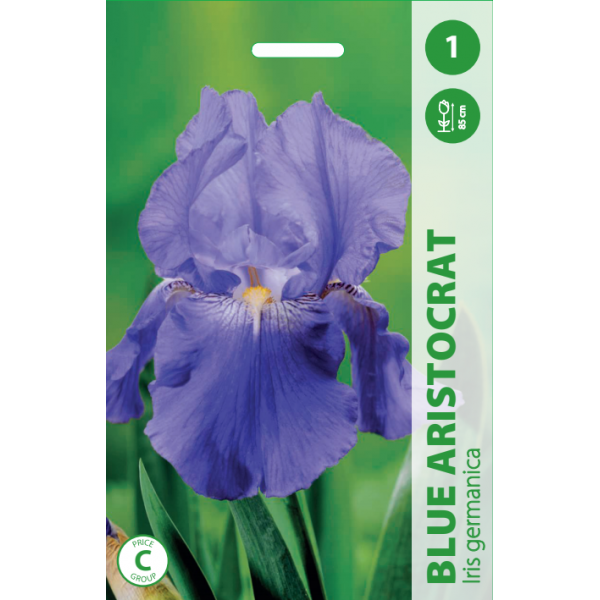 IIRIKSET BLUE ARISTOCRAT