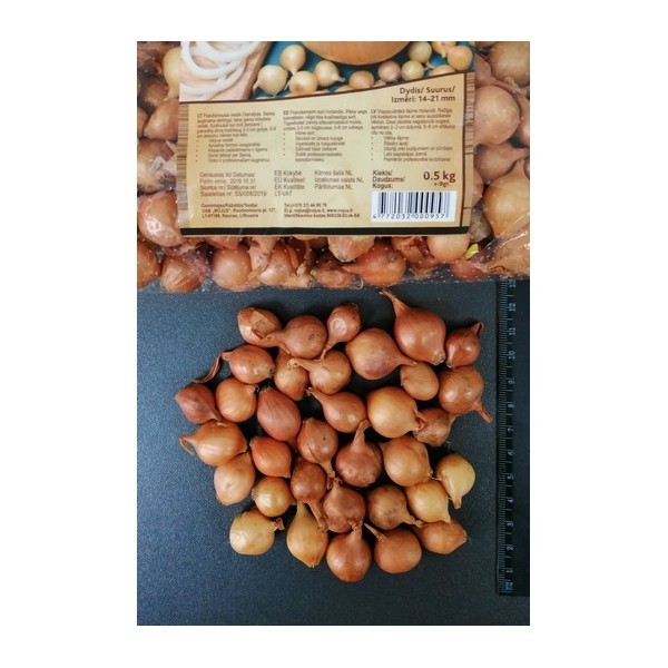 STUTTGARTER RIESEN 14/21 SVOGŪNŲ SODINUKAI (1KG)