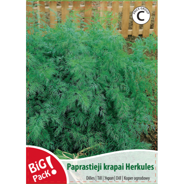 DILL HERCULES