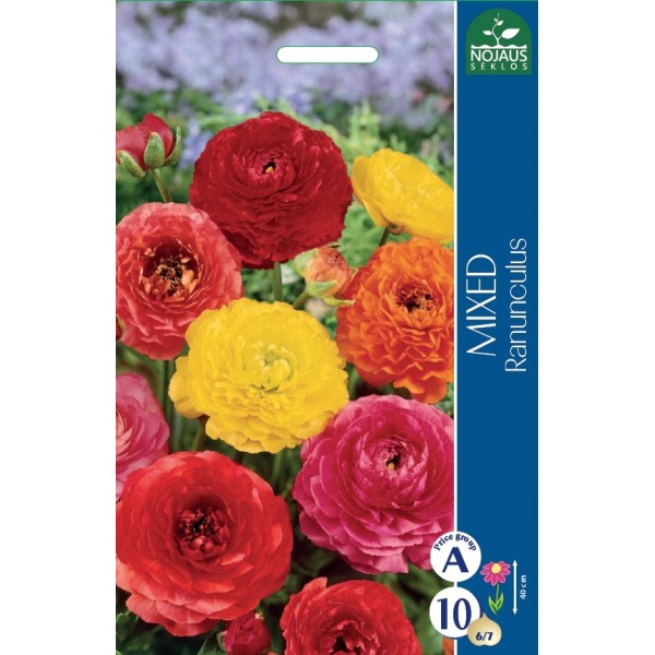 Leinikit MIX (ranunculus)