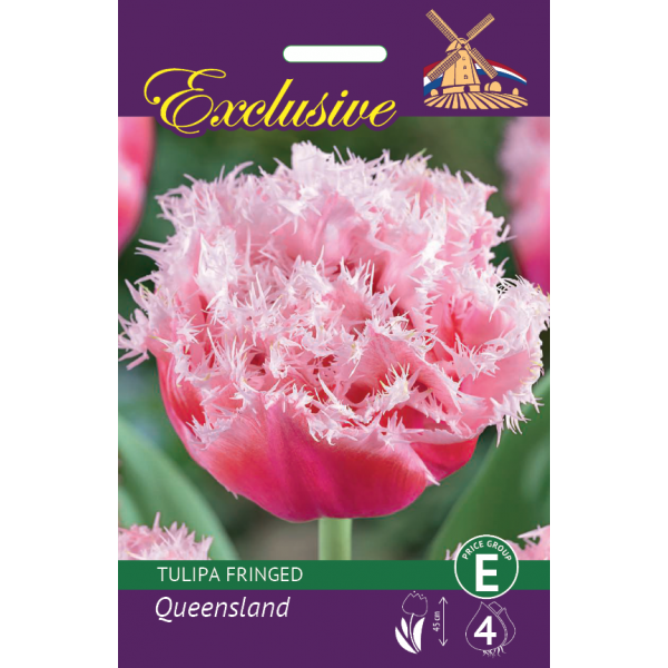Tulppaani Exclusive Queensland