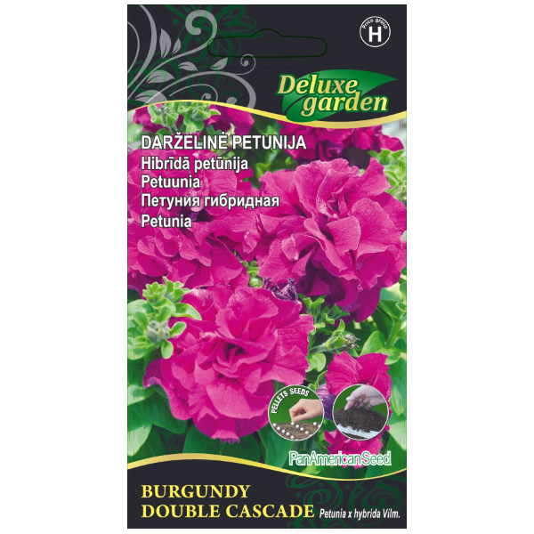 PETUNIA DOUBLE CASCADE BURGUNDY