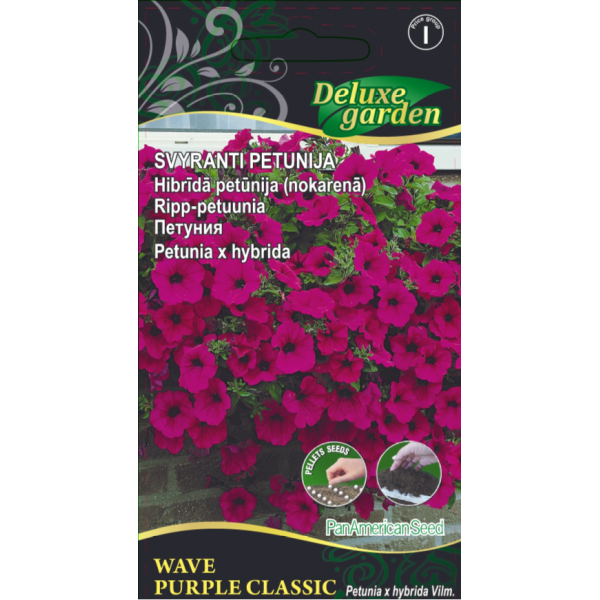 PETUNIA — Sunpurple WAVE PURPLE CLASIC