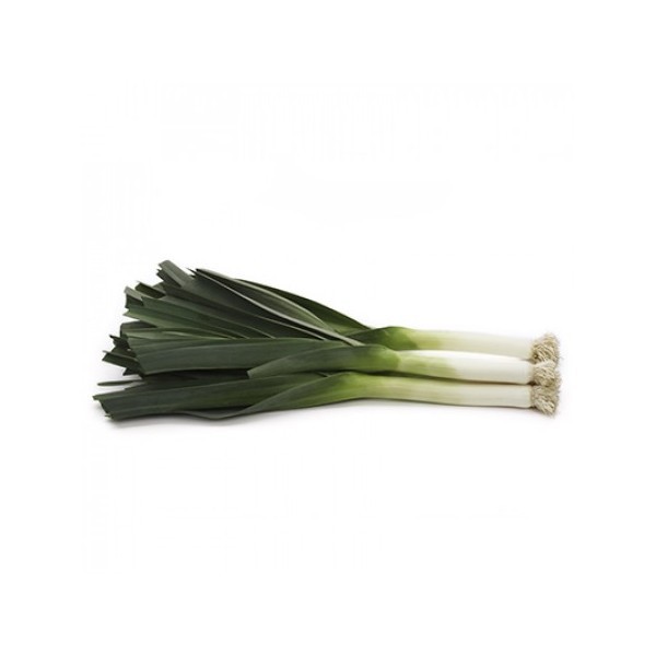 Leek Matejko 20s