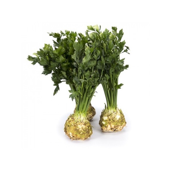 Celery President 20s