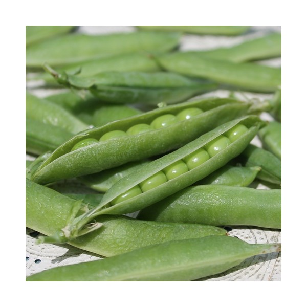 Rypistyneet herneet Petit Provencal 1 kg