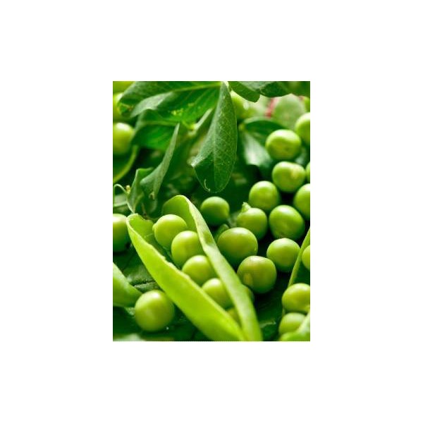 Vihreät herneet Kantata 1 kg