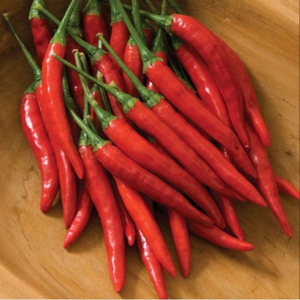 KUUMA PIPPERI THAI BIRDS EYE 0,2g