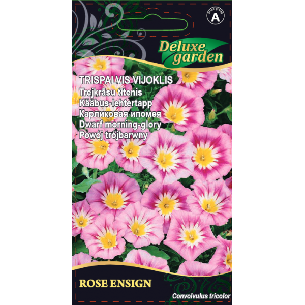 Evolvulus  Rose Ensign 1g