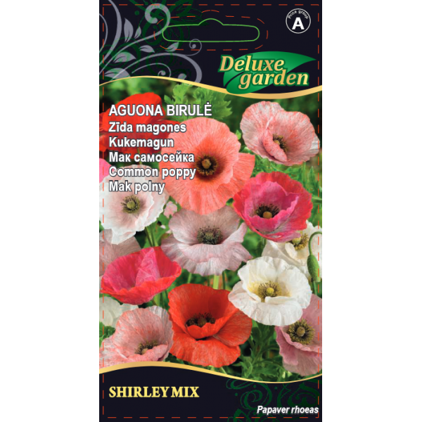 Silkkiunikko Shirley 0,3g