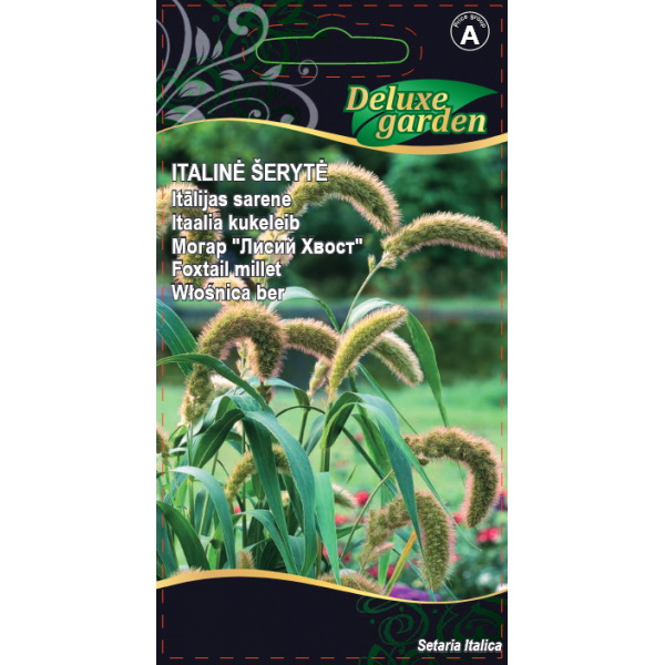 Italianpantaheinä Foxtail millet 0,3g