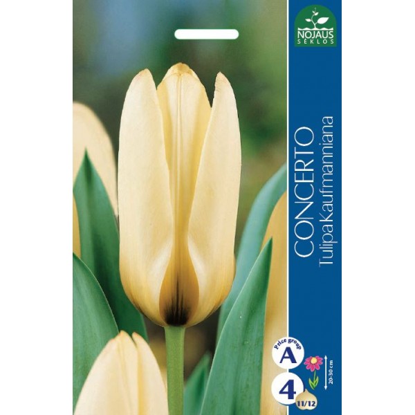 Tulip Concerto