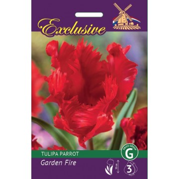 TULIPS EXCLUSIVE GARDEN FIRE