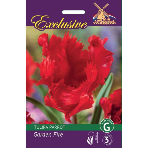 TULIPS EXCLUSIVE GARDEN FIRE