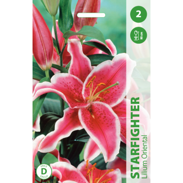Lilies STARFIGHTER