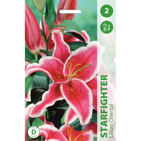 Lilies STARFIGHTER