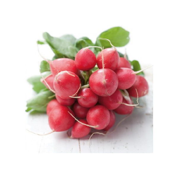 Radish RONDEEL RZ 50 g