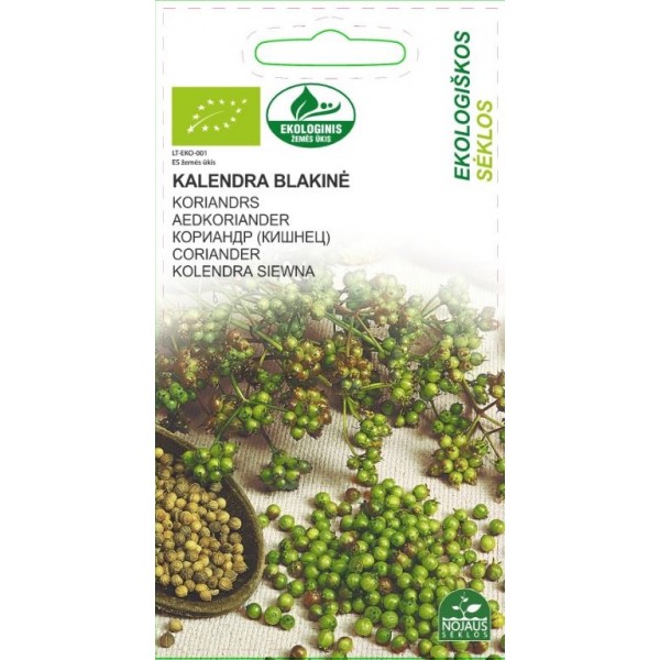 ECO CILANTRO