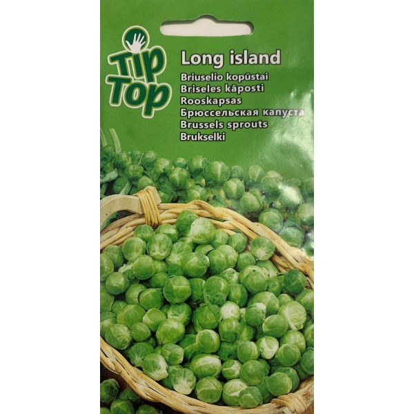 Brussels sprout seeds Long island 0.1g