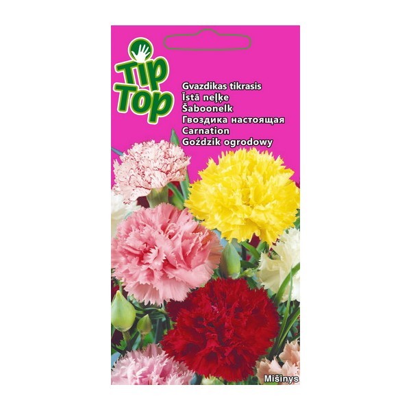Flower seed collection cottage garden & border favorites 15pcs