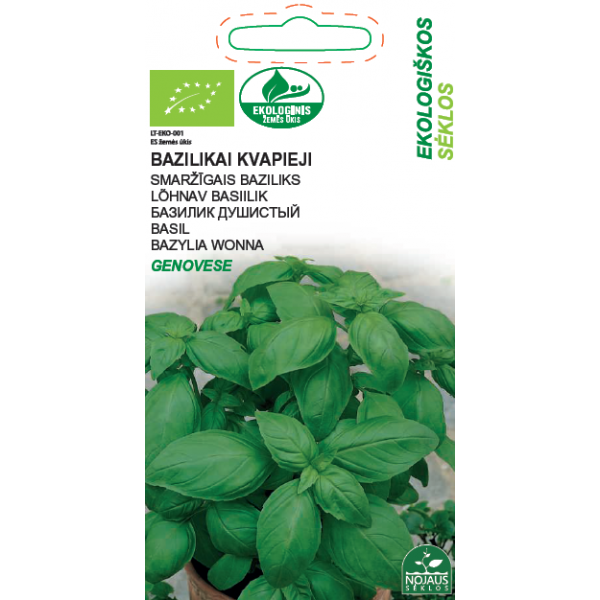 ECO AROMATIC BASIL GENOVESE