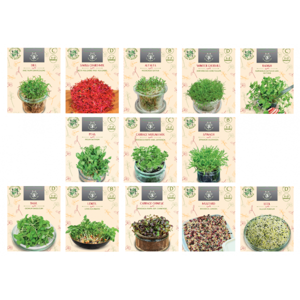 13 Microgreen siemenkokoelma