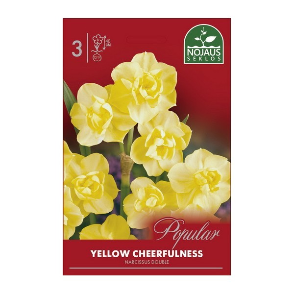 DAFFODIL YELLOW CHEERFULNESS 12/14 3 pcs