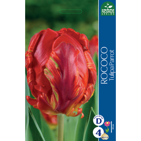 Tulips ROCOCO (11/12) 4 pcs