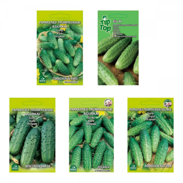 Seed set Cucumbers MINI 5 pcs.