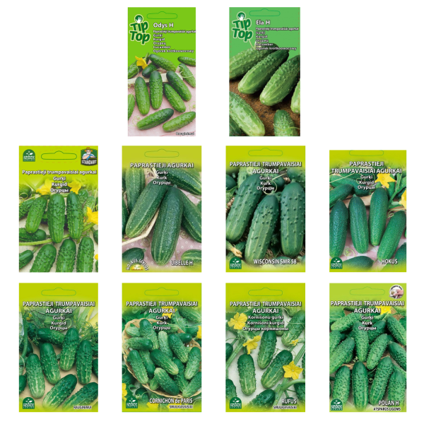Seed set Cucumbers MIDI 10 pcs.