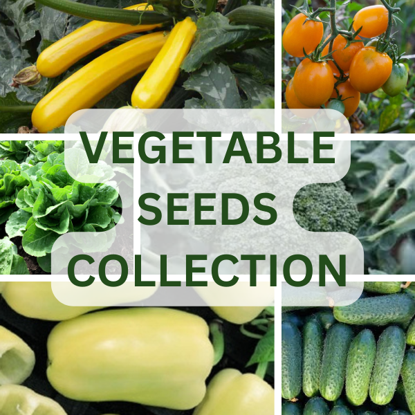 Vegetable Seed Set NOJUS SEEDS in sealants