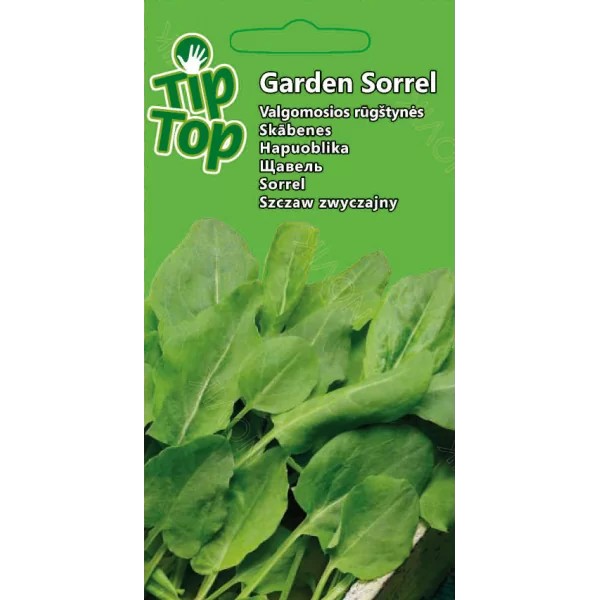 Sorrel Garden Sorrel
