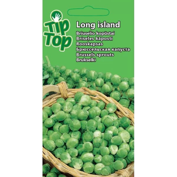 Brussels sprout seeds Long island 0.1g