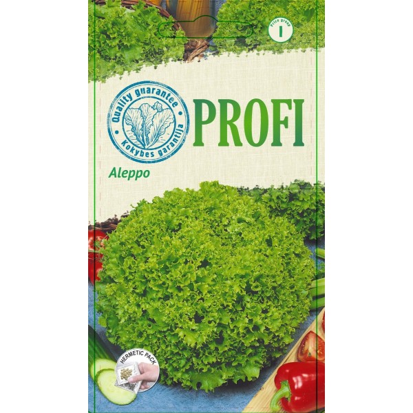 Lettuce ALEPPO 20 seeds