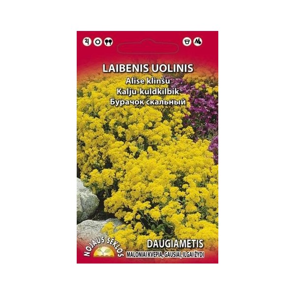 Alyssum perennial 0,2g