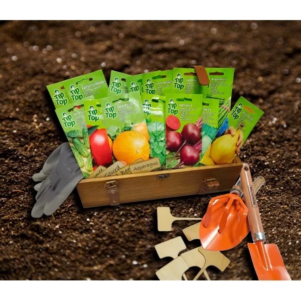 Collection "NOJUS" Vegetable seeds with tools