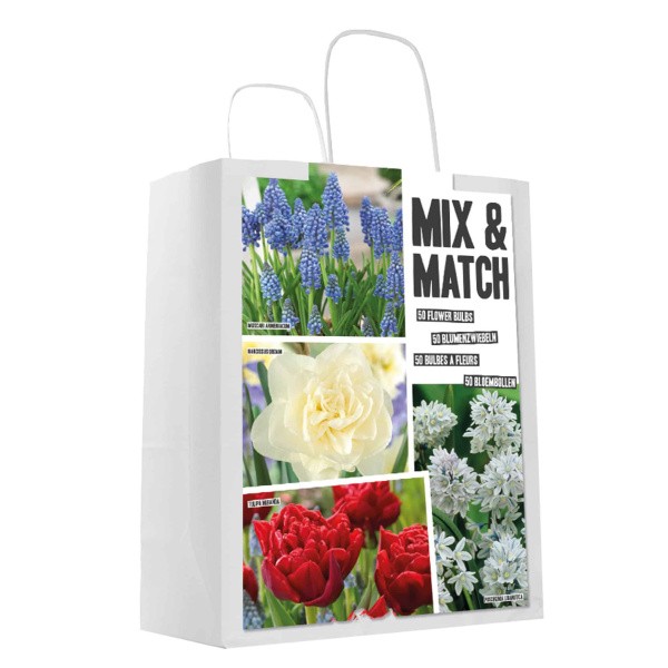 Flower bulb set blue/red 50 pcs.