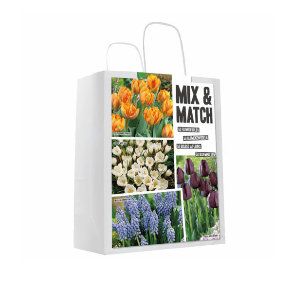Flower bulb set orange/black 50 pcs.