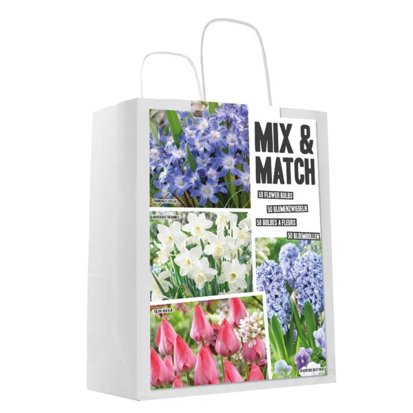 Flower bulb set blue/pink 50 pcs.