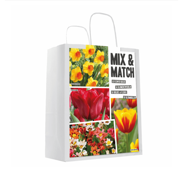 Flower bulb set red/yellow 50 pcs.