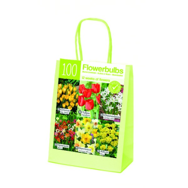 Flower bulb set orange/red/white XL 100 pcs.