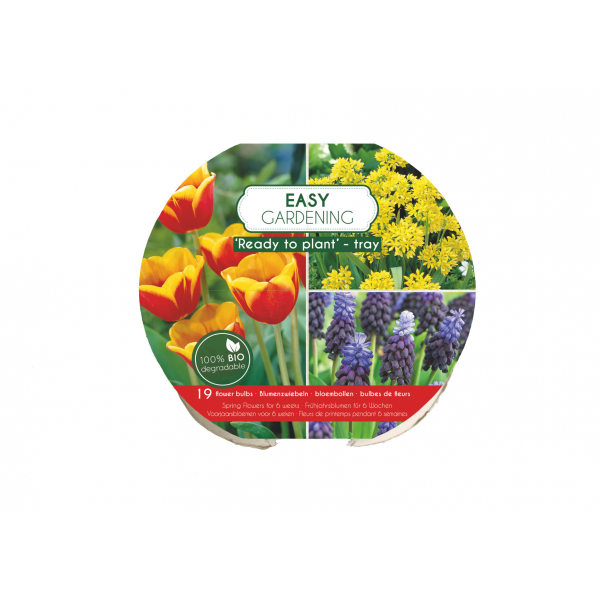 Flower bulb set for easy planting yellow/red/blue 19 pcs.