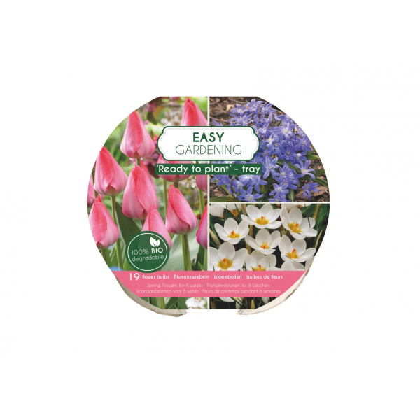 Flower bulb set for easy planting pink/blue 19 pcs.