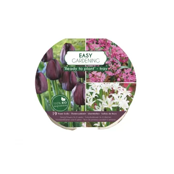Flower bulb set for easy...