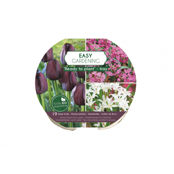 Flower bulb set for easy planting black/pink 19 pcs.